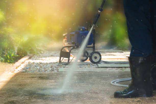 Animal Enclosure Cleaning in Mayfield, OH